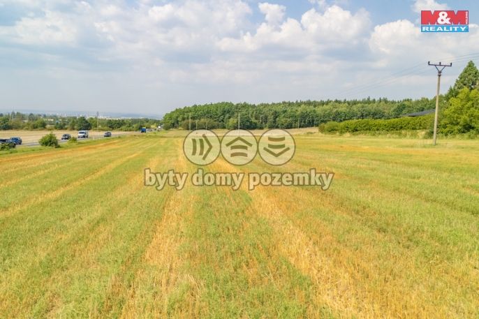 Prodej, Pole, Plzeň