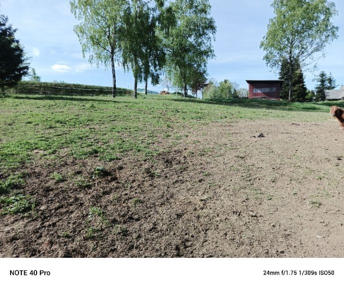 Prodej, Rodinný dům, Friedebach