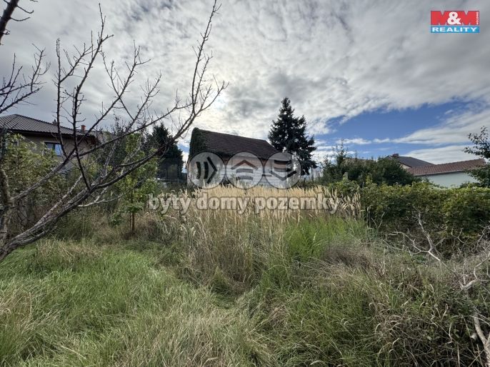 Prodej, Rodinný dům, Bořetice