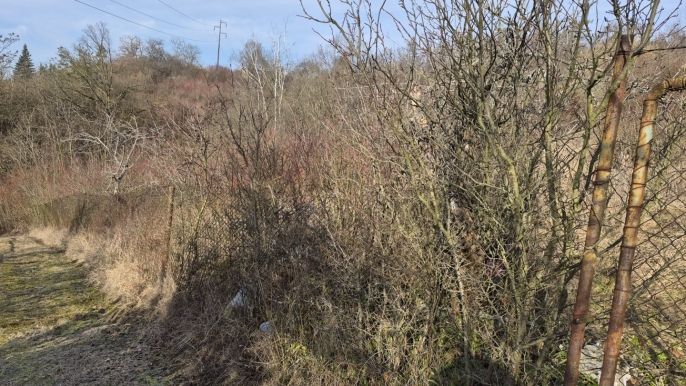 Prodej, Zahrada, Štětí