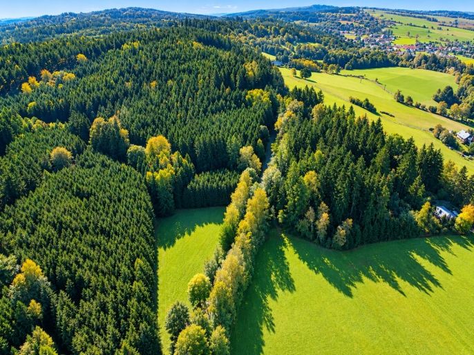 Prodej, Louka, Červený Kostelec