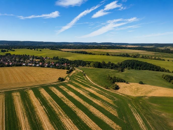 Prodej, Pole, Zahořany