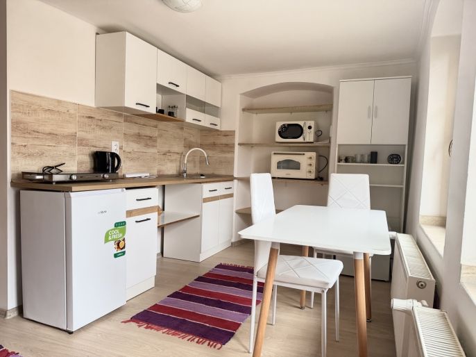 Pronájem, Byt 1+1, Beřovice