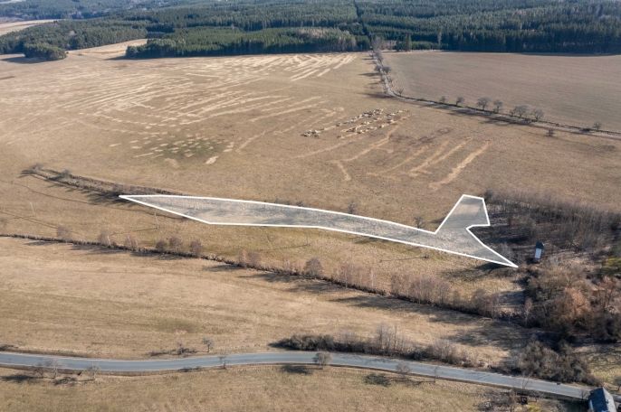 Prodej, Ostatní, Olbramov