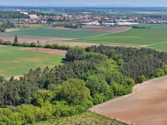 Prodej, Les, Lysá nad Labem