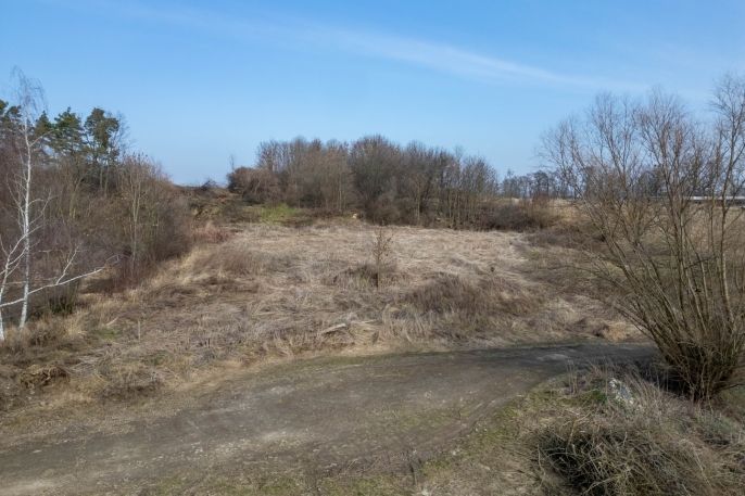 Pronájem, Zahrada, Opava