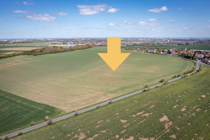 Prodej, Pole, Dobříč