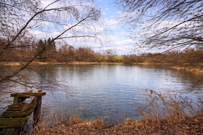 Prodej, Pastvina, Křečovice