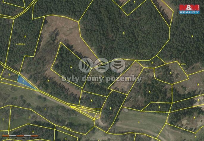 Prodej, Les, Přechovice