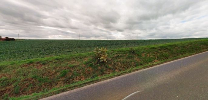 Prodej, Pozemek k bydlení, Polepy