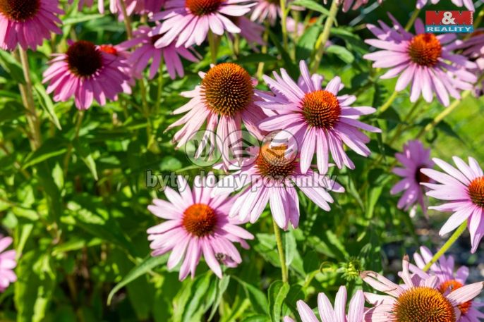 Prodej, Rodinný dům, Ostrava