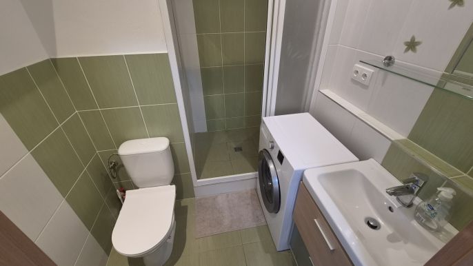 Pronájem, Byt 1+1, Frýdek-Místek