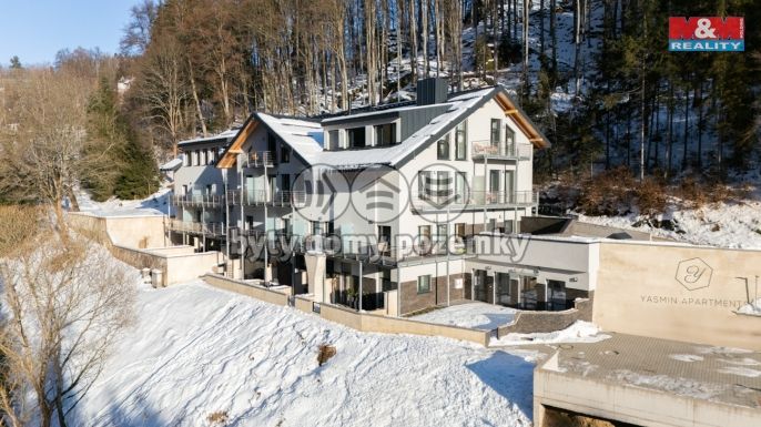 Prodej, Byt 2+kk, Vítkovice