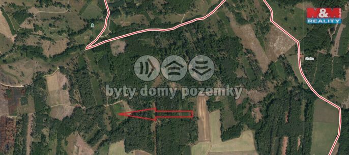 Prodej, Les, Jetětice