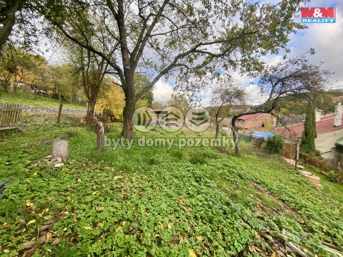 Prodej, Zahrada, Konice