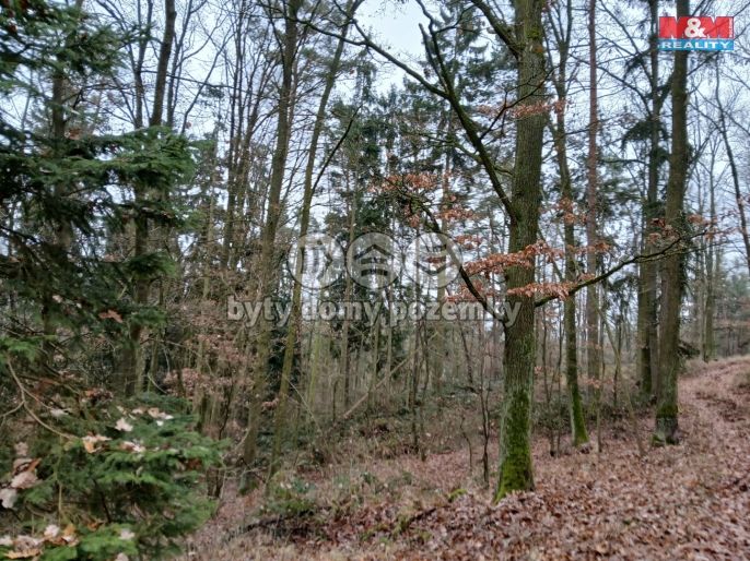 Prodej, Les, Krašlovice
