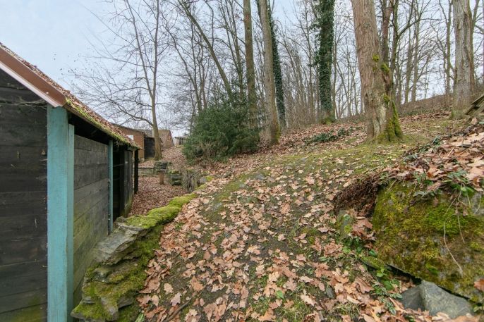 Prodej, Chata, Plešnice