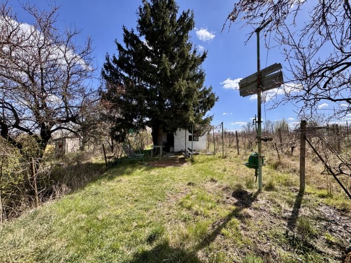 Prodej, Chata, Hrušovany u Brna