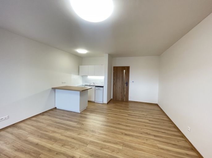 Pronájem, Byt 1+kk, Šenov