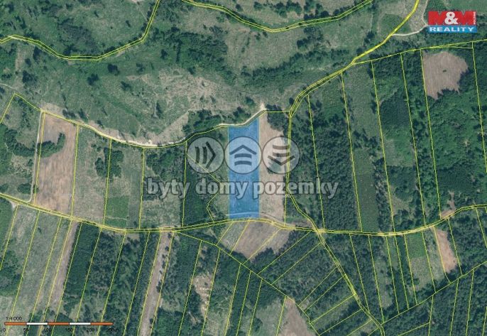 Prodej, Les, Jetětice