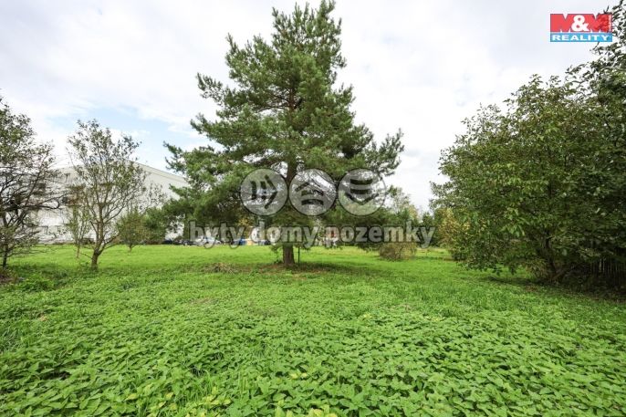 Prodej, Zahrada, Paseka