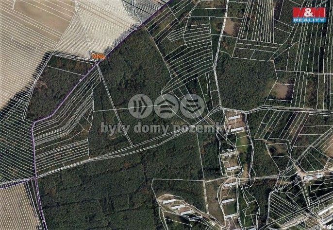 Prodej, Les, Skoronice