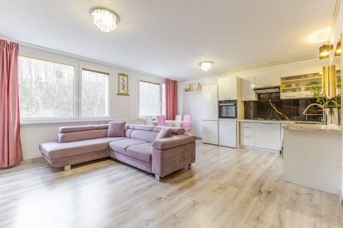 Prodej, Byt 3+1, Most