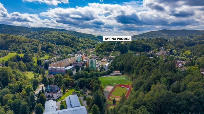 Prodej, Byt 2+1, Desná