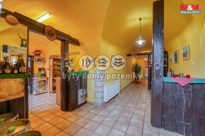 Prodej, Hotel, penzion, Žihle