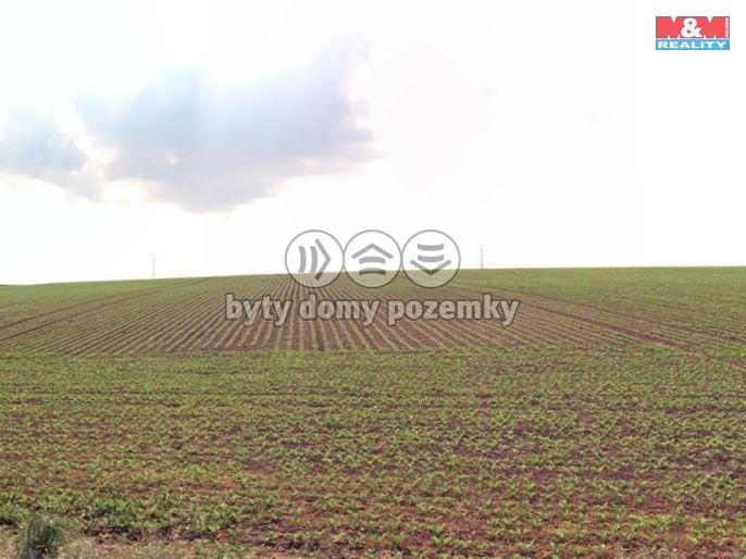 Prodej, Pole, Štěpánkovice