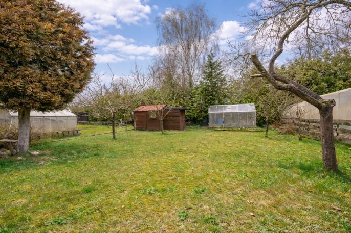 Prodej, Chata, Borohrádek