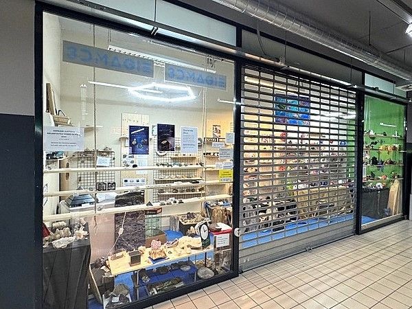 Pronájem, Obchod a služby, Brno