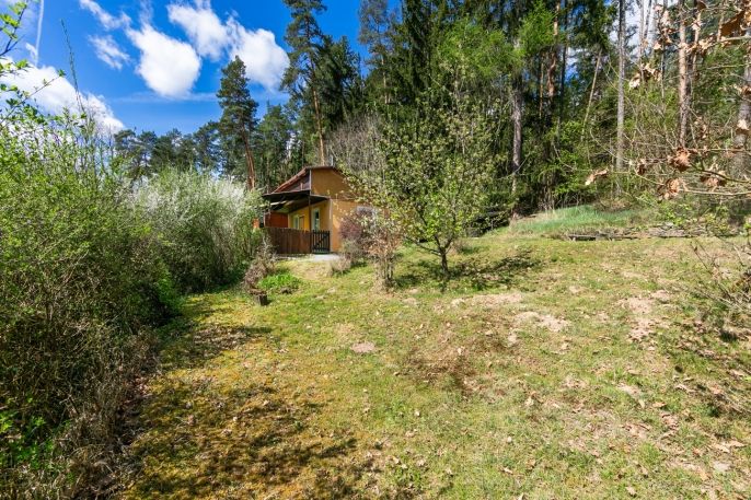 Prodej, Chata, Česká Bříza