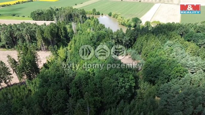 Prodej, Les, Opařany