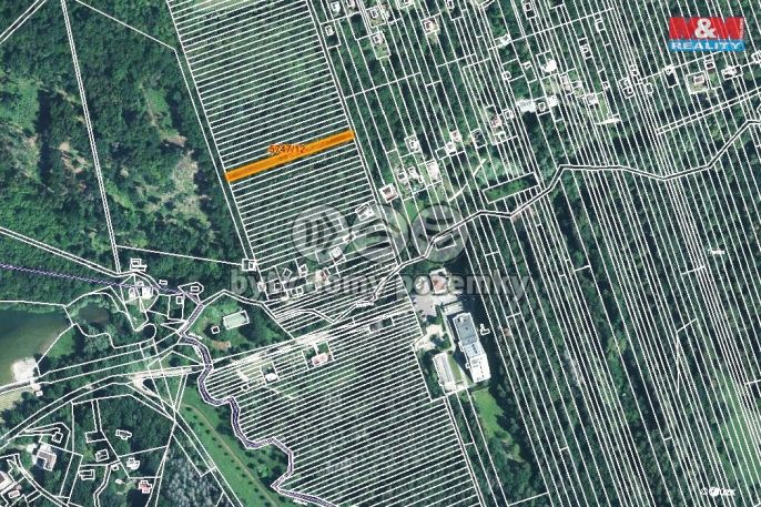 Prodej, Les, Kněždub