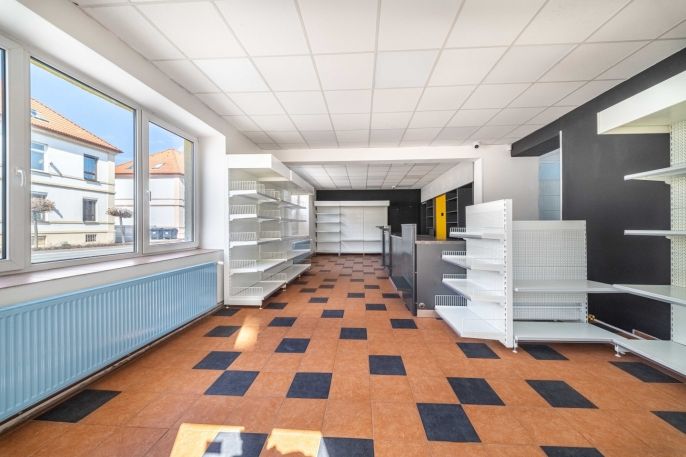 Pronájem, Obchod a služby, Králův Dvůr