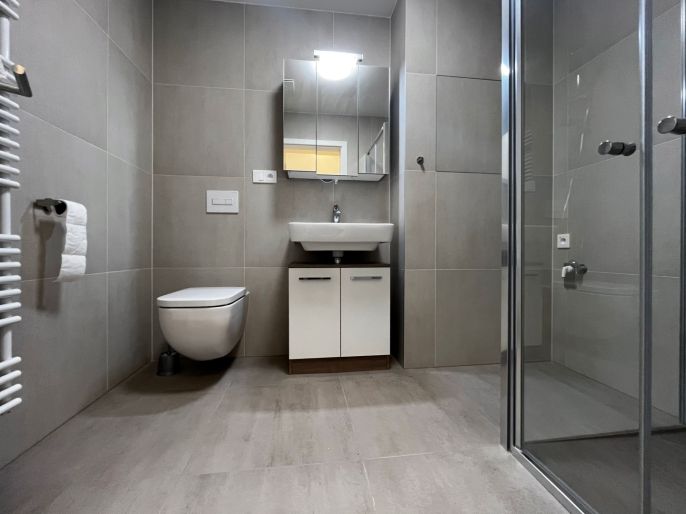 Pronájem, Byt 1+kk, Opava