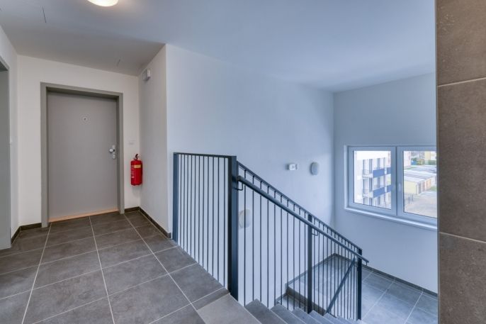 Pronájem, Byt 2+kk, Dobřany