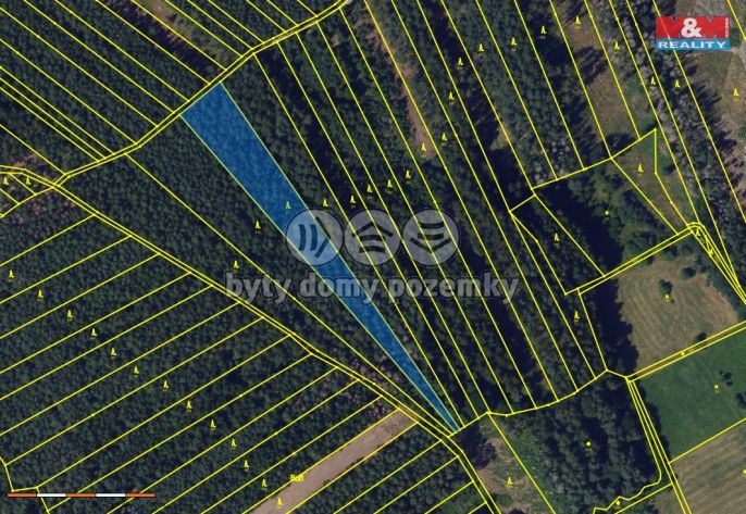 Prodej, Les, Vanovice