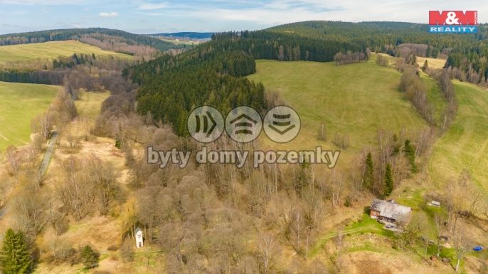 Prodej, Louka, Kraslice