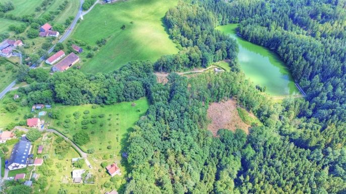 Prodej, Les, Ohnišov