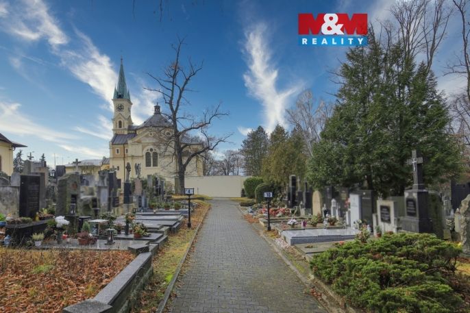 Prodej, Ostatní, Plzeň