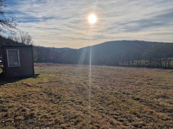 Pronájem, Louka, Petrov