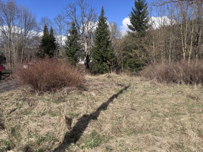 Prodej, Zahrada, Chřibská