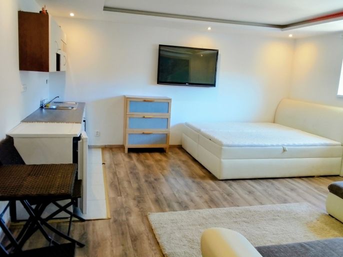 Pronájem, Byt 1+kk, Železná Ruda