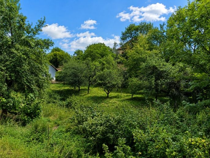 Prodej, Chalupa, Voděrady