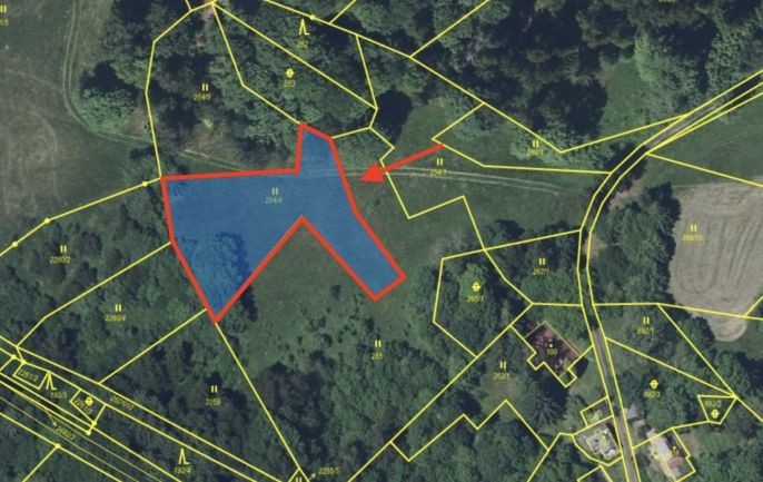 Prodej, Louka, Tanvald