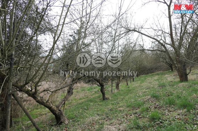 Prodej, Pozemek k bydlení, Králův Dvůr