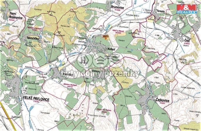 Prodej, Ovocný sad, Kobylí