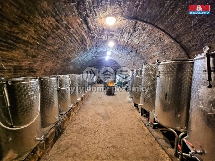 Prodej, Vinný sklep, Perná